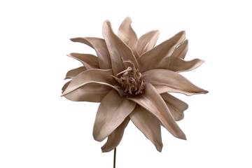 Kunstig blomst, beige