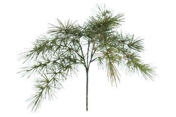 Barrkvist