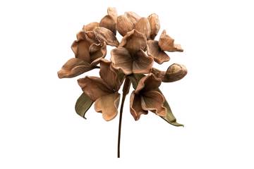Kunstig blomst, sand