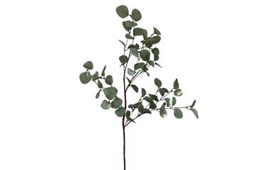 Kunstig blomst, grønn/brun