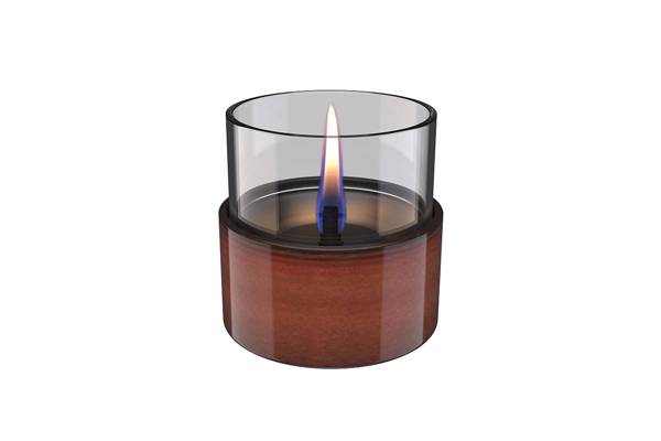 Tenderflame, Aster 10, Amber 
