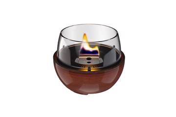 Tenderflame, Tulip 14, Amber 