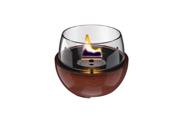Tenderflame, Tulip 14, Amber 