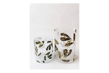 Lysglass krakelert, eikeblader