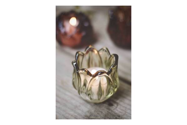 Lysglass tulipan, grønn